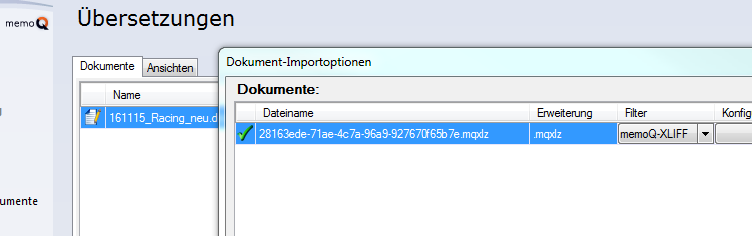 Das betreffende Projekt in memoQ öffnen und in der Übersicht bleiben.